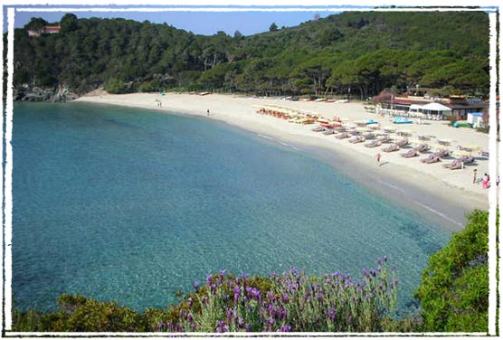 La Spiaggia Di Fetovaia Allisola Delba